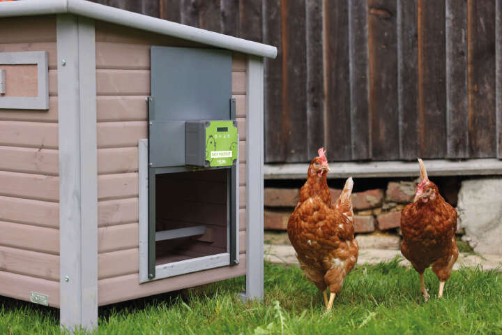 KERBL Automatische Hühnertür Komplettset EasyProtect